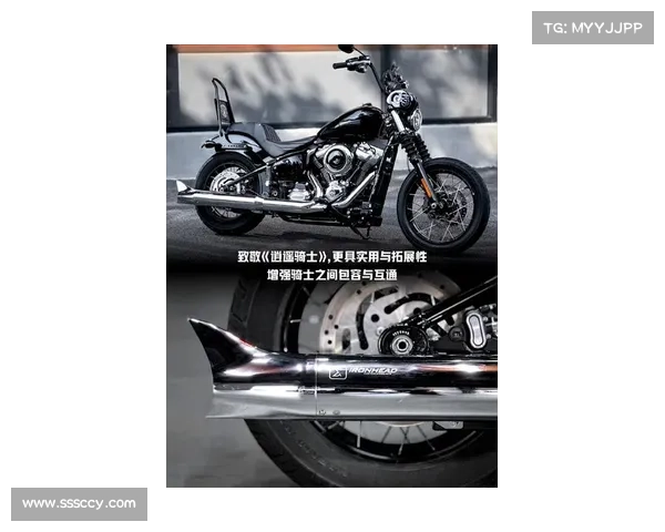 【铁拳2025】深夜街头的“守护者”！数辆改装摩托被查！