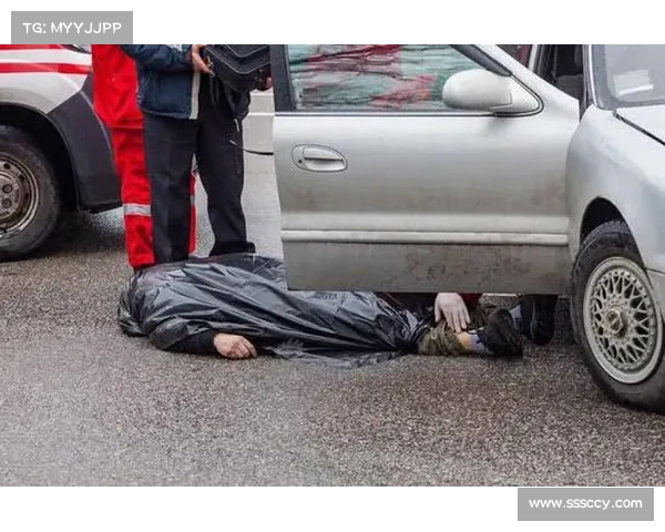乌克兰总统车队遇车祸,一车超车时侧翻掉入沟渠 乌克兰总统车队遇车祸,一车超车时侧翻掉入沟渠